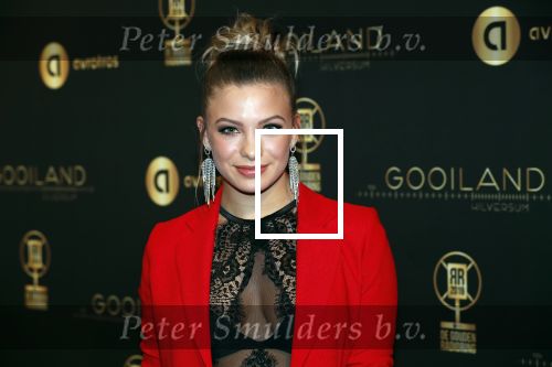 Hilversum 30 januari 2020
Radioring gala in theater gooiland . Amber Delil