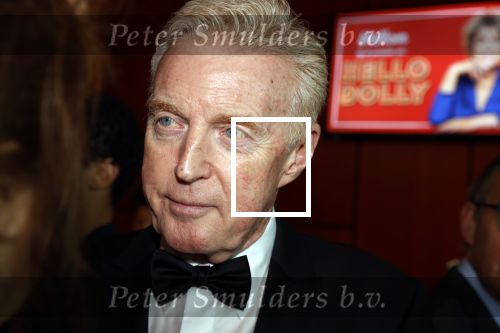 Rotterdam 8 maart 2020
Premiere Hello Dolly in het nieuwe Luxor. Karin Riethoven interviewt Andre v Duin . Andre draagt zijn eigen trouwring en die van Martin