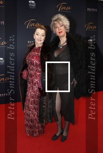 Utrecht 9 februari 2020
Premiere Tina Turner musical in het Beatrix Theater.
Anne Rose Bantziger