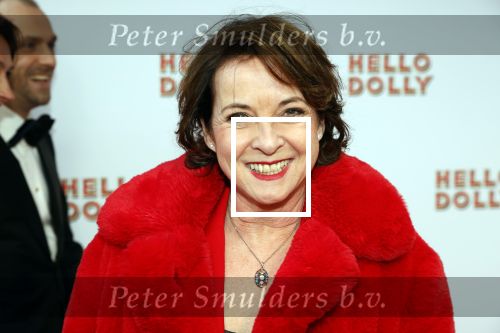 Rotterdam 8 maart 2020
Premiere Hello Dolly in het nieuwe Luxor. Anne-Mieke Ruyten met partner Ron Cornet