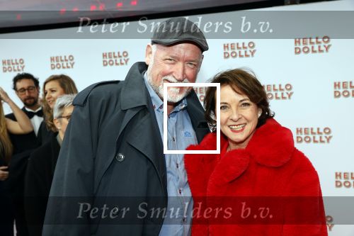 Rotterdam 8 maart 2020
Premiere Hello Dolly in het nieuwe Luxor. Anne-Mieke Ruyten met partner Ron Cornet
