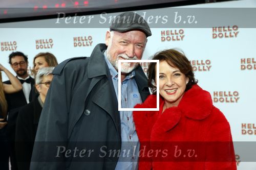 Rotterdam 8 maart 2020
Premiere Hello Dolly in het nieuwe Luxor. Anne-Mieke Ruyten met partner Ron Cornet