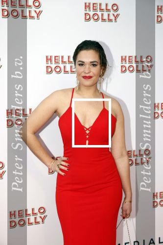 Rotterdam 8 maart 2020
Premiere Hello Dolly in het nieuwe Luxor. Annefleur v d Berg kwam met haar vriend