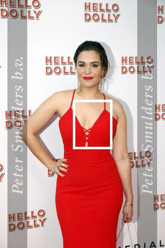 Rotterdam 8 maart 2020
Premiere Hello Dolly in het nieuwe Luxor. Annefleur v d Berg kwam met haar vriend