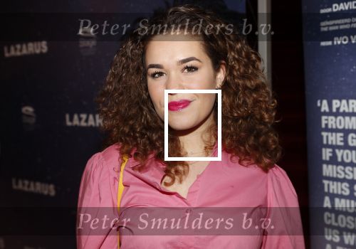 Amsterdam 12 februari 2020
Premiere Lazarus in het nieuwe deLaMar theater. Annefleur v d Berg van GTST
