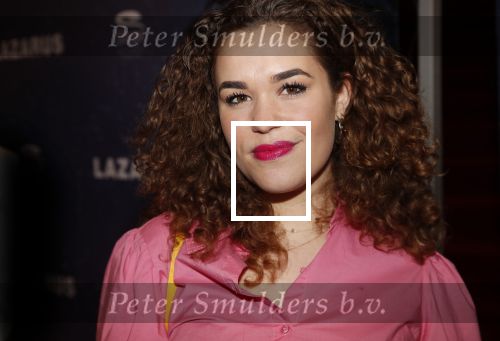 Amsterdam 12 februari 2020
Premiere Lazarus in het nieuwe deLaMar theater. Annefleur v d Berg van GTST