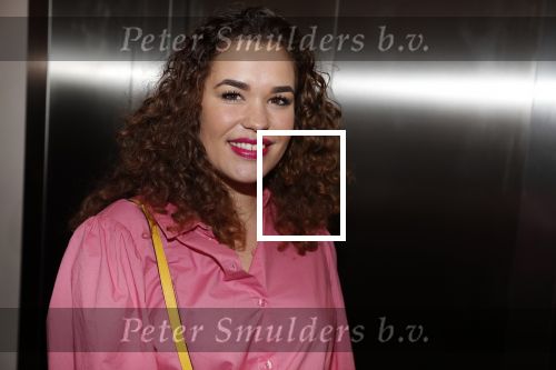 Amsterdam 12 februari 2020
Premiere Lazarus in het nieuwe deLaMar theater. Annefleur v d Berg van GTST