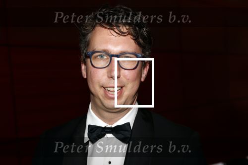 Rotterdam 8 maart 2020
Premiere Hello Dolly in het nieuwe Luxor. Arjan v Bavel