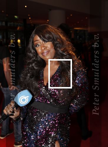 Utrecht 9 februari 2020
Premiere Tina Turner musical in het Beatrix Theater. Berget Lewis met vriedn