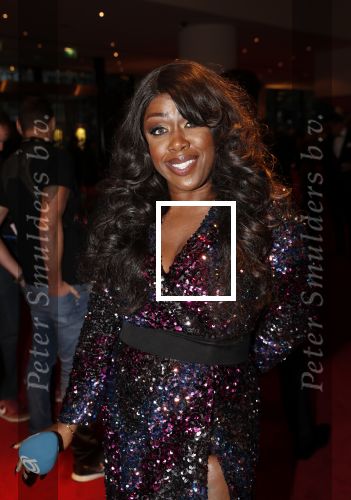 Utrecht 9 februari 2020
Premiere Tina Turner musical in het Beatrix Theater. Berget Lewis met vriedn