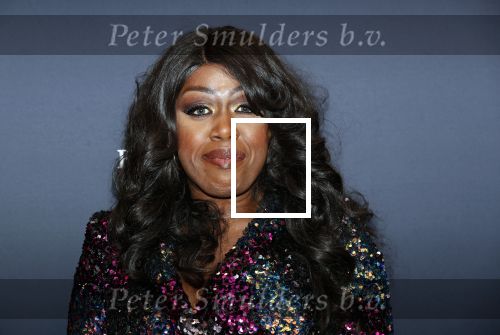 Utrecht 9 februari 2020
Premiere Tina Turner musical in het Beatrix Theater. Berget Lewis met vriend