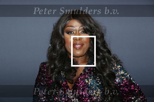 Utrecht 9 februari 2020
Premiere Tina Turner musical in het Beatrix Theater. Berget Lewis met vriend
