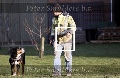 Wolphaartsdijk 18 maart 2020
Broer Bastiaan van boer zoekt vrouw met zijn hond
