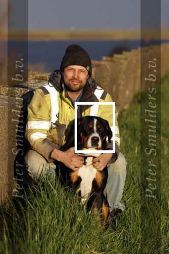 Wolphaartsdijk 18 maart 2020
Broer Bastiaan van boer zoekt vrouw met zijn hond