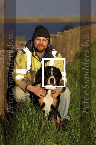 Wolphaartsdijk 18 maart 2020
Broer Bastiaan van boer zoekt vrouw met zijn hond