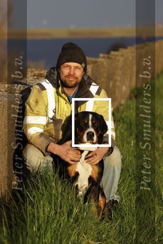 Wolphaartsdijk 18 maart 2020
Broer Bastiaan van boer zoekt vrouw met zijn hond
