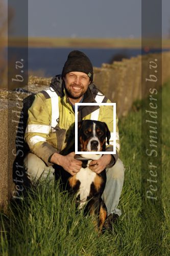 Wolphaartsdijk 18 maart 2020
Broer Bastiaan van boer zoekt vrouw met zijn hond