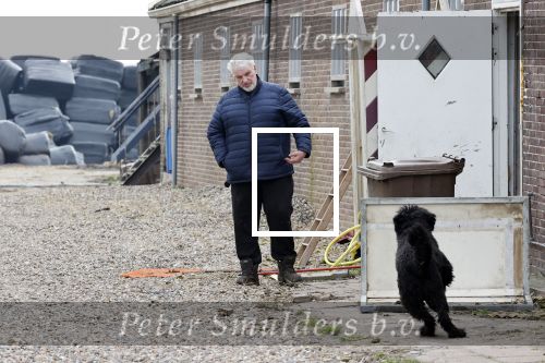 Broek en Waterland 6 maart 2020
Boer Geert jan van Boer zoekt vouw BZV