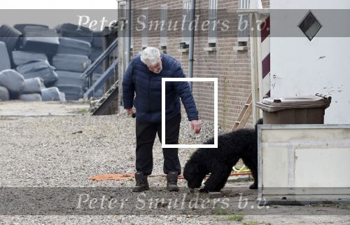 Broek en Waterland 6 maart 2020
Boer Geert jan van Boer zoekt vouw BZV