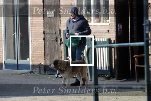 Westbeemster 7 maart 2020
Boer Jan van Boer zoekt vouw . Jan heeft een zorgboederij.