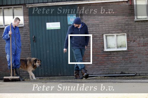Westbeemster 7 maart 2020
Boer Jan van Boer zoekt vouw . Jan heeft een zorgboederij.
