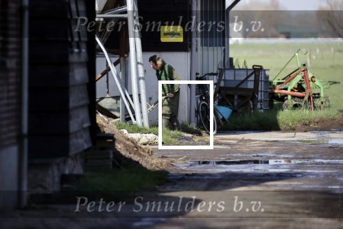 Hei en Boeicop 4 maart 2020
Boer Willem een van de deelnemers van het nieuwe seizoen van boer zoekt vrouw . Willem bij zijn huis / boerderij . Ook zijn moeder is aanwezig . Matthijs Albers van Story is er ook bij .