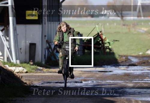 Hei en Boeicop 4 maart 2020
Boer Willem een van de deelnemers van het nieuwe seizoen van boer zoekt vrouw . Willem bij zijn huis / boerderij . Ook zijn moeder is aanwezig . Matthijs Albers van Story is er ook bij .