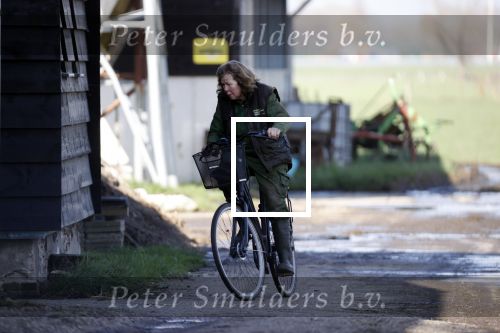 Hei en Boeicop 4 maart 2020
Boer Willem een van de deelnemers van het nieuwe seizoen van boer zoekt vrouw . Willem bij zijn huis / boerderij . Ook zijn moeder is aanwezig . Matthijs Albers van Story is er ook bij .
