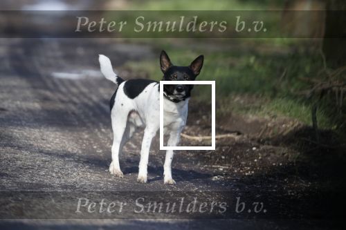 Hei en Boeicop 4 maart 2020
Boer Willem een van de deelnemers van het nieuwe seizoen van boer zoekt vrouw . Willem bij zijn huis / boerderij . Ook zijn moeder is aanwezig . Matthijs Albers van Story is er ook bij .hond