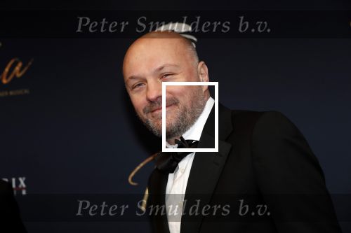 Utrecht 9 februari 2020
Premiere Tina Turner musical in het Beatrix Theater.
Boris v Ham