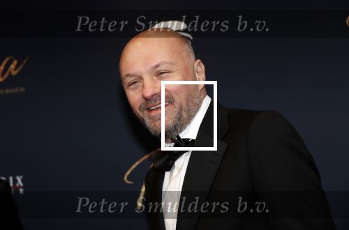 Utrecht 9 februari 2020
Premiere Tina Turner musical in het Beatrix Theater.
Boris v Ham
