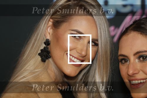 Amsterdam 27 januari 2020
Premiere Onze Jongens in Miami in Tuschinski. Cassidy Roeks met een vriendin