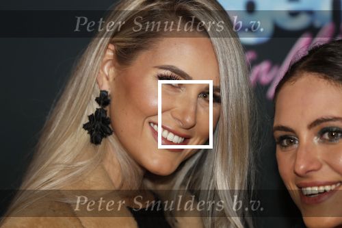 Amsterdam 27 januari 2020
Premiere Onze Jongens in Miami in Tuschinski. Cassidy Roeks met een vriendin