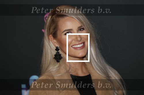 Amsterdam 27 januari 2020
Premiere Onze Jongens in Miami in Tuschinski. Cassidy Roeks met een vriendin