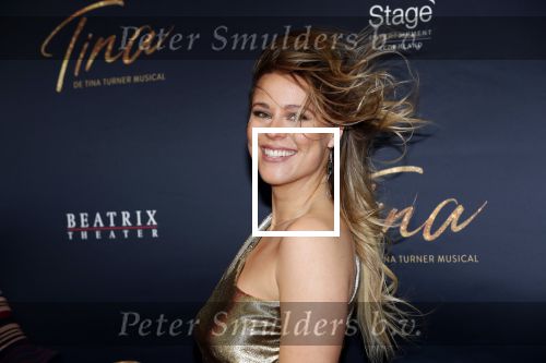 Utrecht 9 februari 2020
Premiere Tina Turner musical in het Beatrix Theater. Celine Huijsmans kwam met Maik de Boer