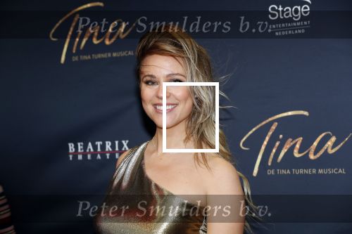 Utrecht 9 februari 2020
Premiere Tina Turner musical in het Beatrix Theater. Celine Huijsmans kwam met Maik de Boer