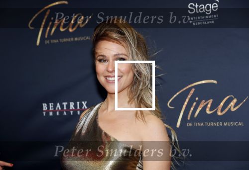 Utrecht 9 februari 2020
Premiere Tina Turner musical in het Beatrix Theater. Celine Huijsmans kwam met Maik de Boer