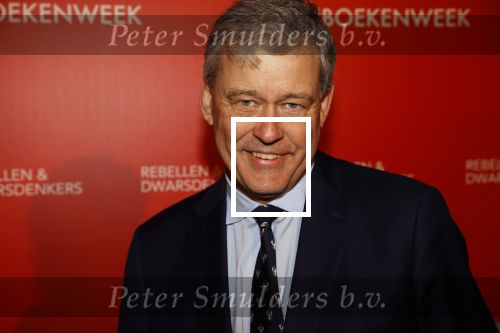 Amsterdam 6 maart 2020
Boekenbal 2020 in de koninklijke schouwburg. Charles Groenhuijsen