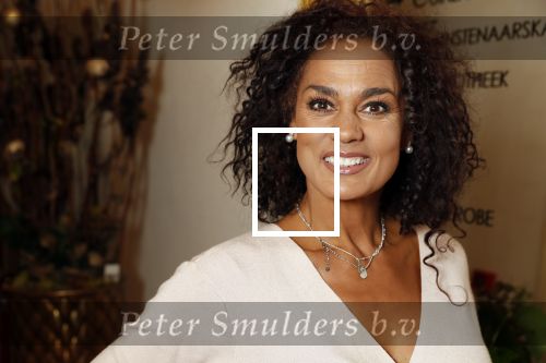 Nuland 28 januari 2020
Opening nieuwe winkel Addy v d Krommenacker in Villa Maasdonk.
Chimene v Oosterhout