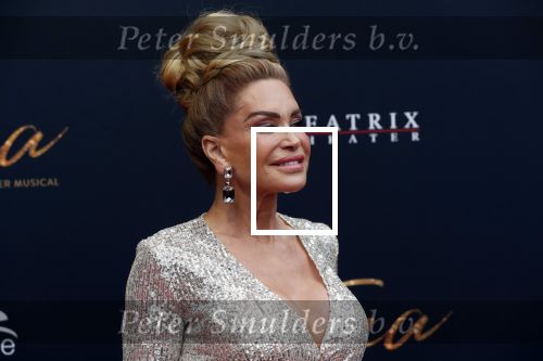 Utrecht 9 februari 2020
Premiere Tina Turner musical in het Beatrix Theater. Connie Witteman met oude PA Edwin