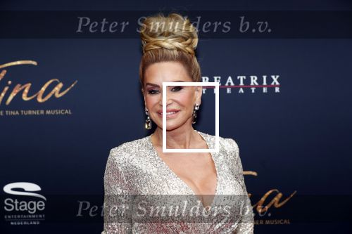 Utrecht 9 februari 2020
Premiere Tina Turner musical in het Beatrix Theater. Connie Witteman met oude PA Edwin
