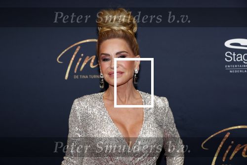 Utrecht 9 februari 2020
Premiere Tina Turner musical in het Beatrix Theater. Connie Witteman met oude PA Edwin