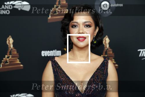 Amsterdam 22 januari 2020
Musicalgala in de Rai. Cystine Carreon