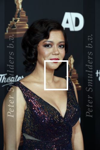 Amsterdam 22 januari 2020
Musicalgala in de Rai. Cystine Carreon