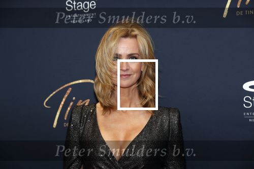 Utrecht 9 februari 2020
Premiere Tina Turner musical in het Beatrix Theater. Daphne Deckers