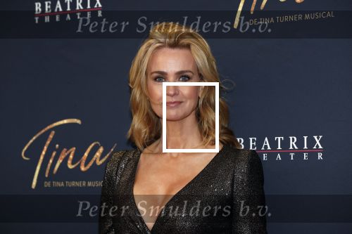 Utrecht 9 februari 2020
Premiere Tina Turner musical in het Beatrix Theater. Daphne Deckers