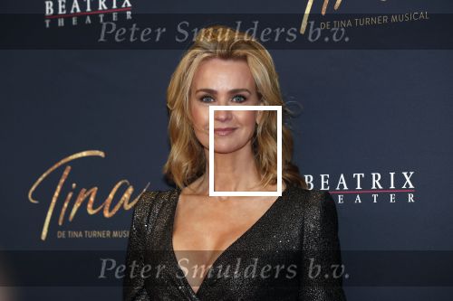 Utrecht 9 februari 2020
Premiere Tina Turner musical in het Beatrix Theater. Daphne Deckers
