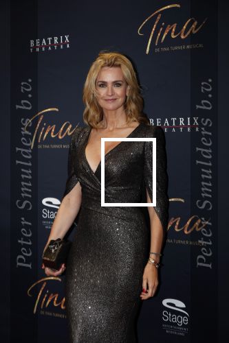 Utrecht 9 februari 2020
Premiere Tina Turner musical in het Beatrix Theater. Daphne Deckers