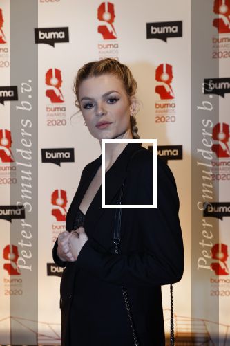 Hilversum 9 maart 2020
Uitreiking Buma awards in studio 21 op het mediapark. Davina Michelle met haar vriend