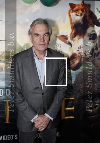 Amsterdam 12 januari 2020
Premiere Dolittle in pathe Arena. Derek de Lint